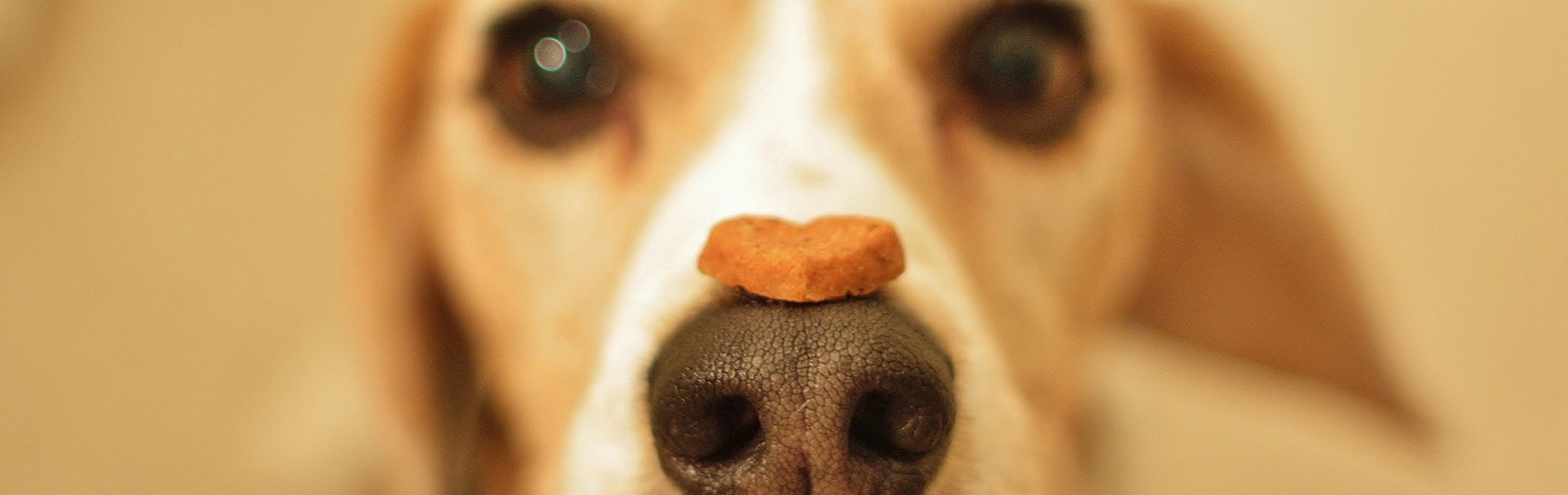 Тренировка долго не кончать