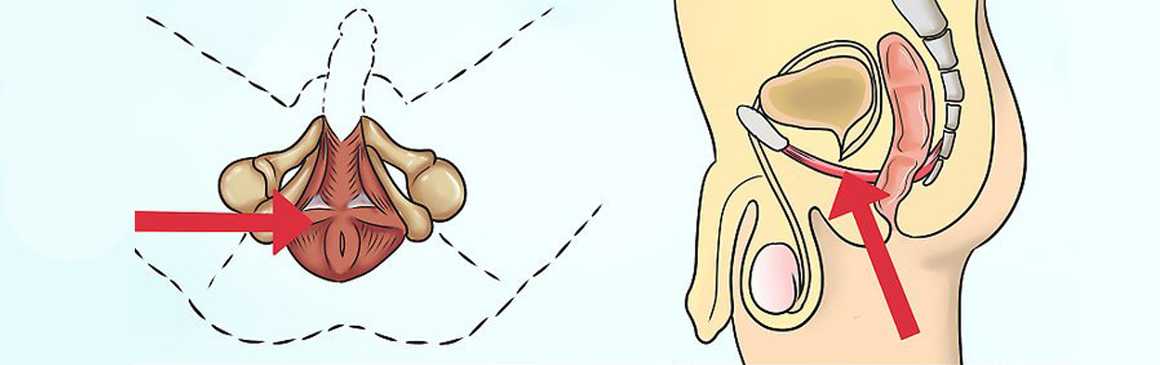 Упражнения Кегеля