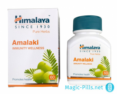 Таблетки Amalaki в упаковке 1