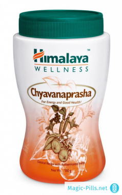 Джем Chyavanaprasha в упаковке 1