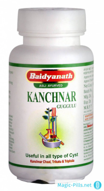 Таблетки Kanchnar Guggulu (80 таблеток) в упаковке 1