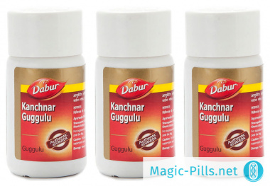 Таблетки Kanchnar Guggulu (40 таблеток) в упаковке 1
