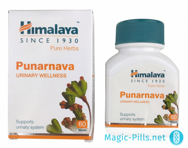 Таблетки Punarnava в упаковке 1