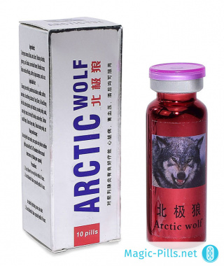 Упаковка Arctic Wolf 1